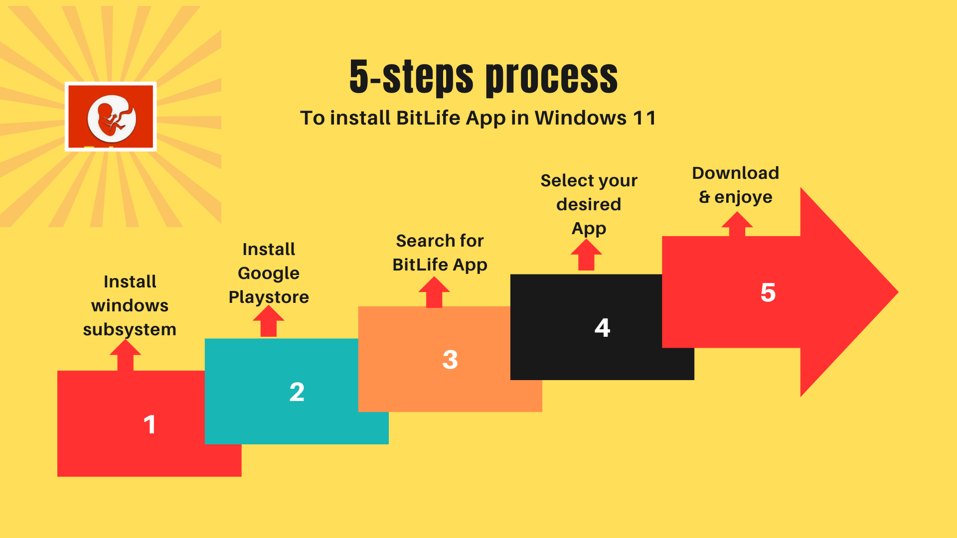process to install bitlife app in window 11