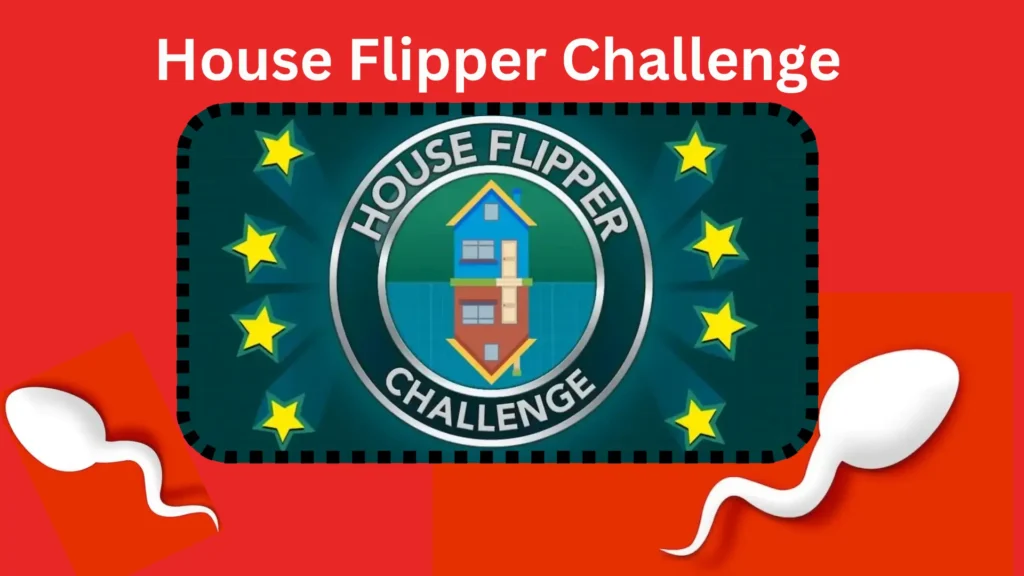 House Flipper Challenge