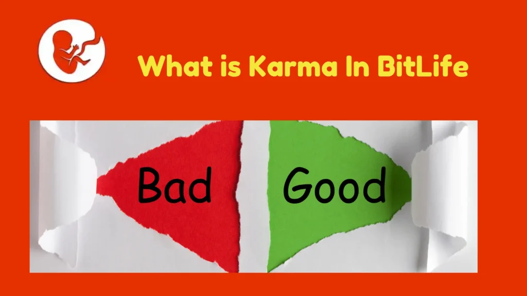 what is karma in BitLife